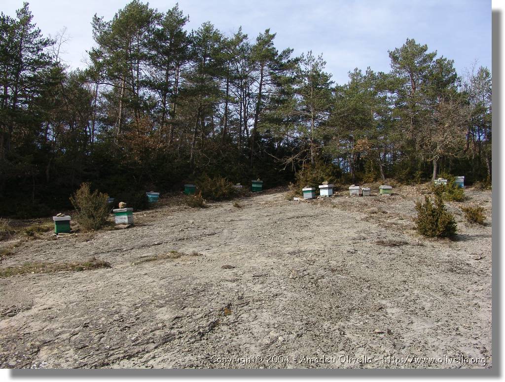 munts_050.jpg