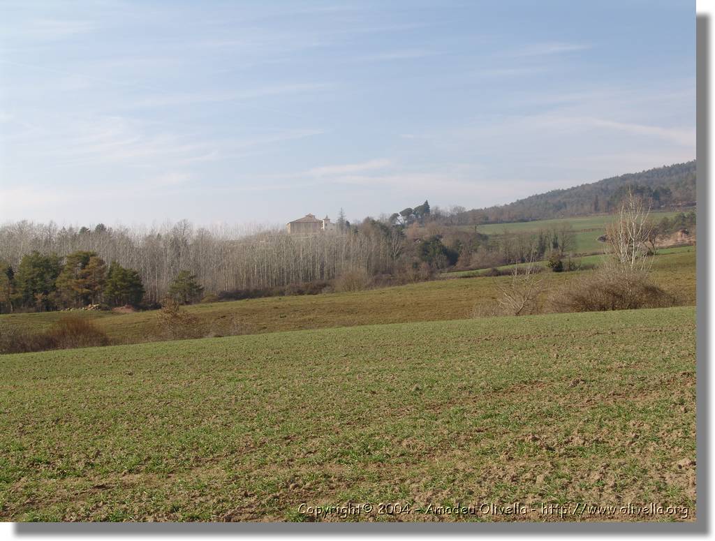 munts_061.jpg