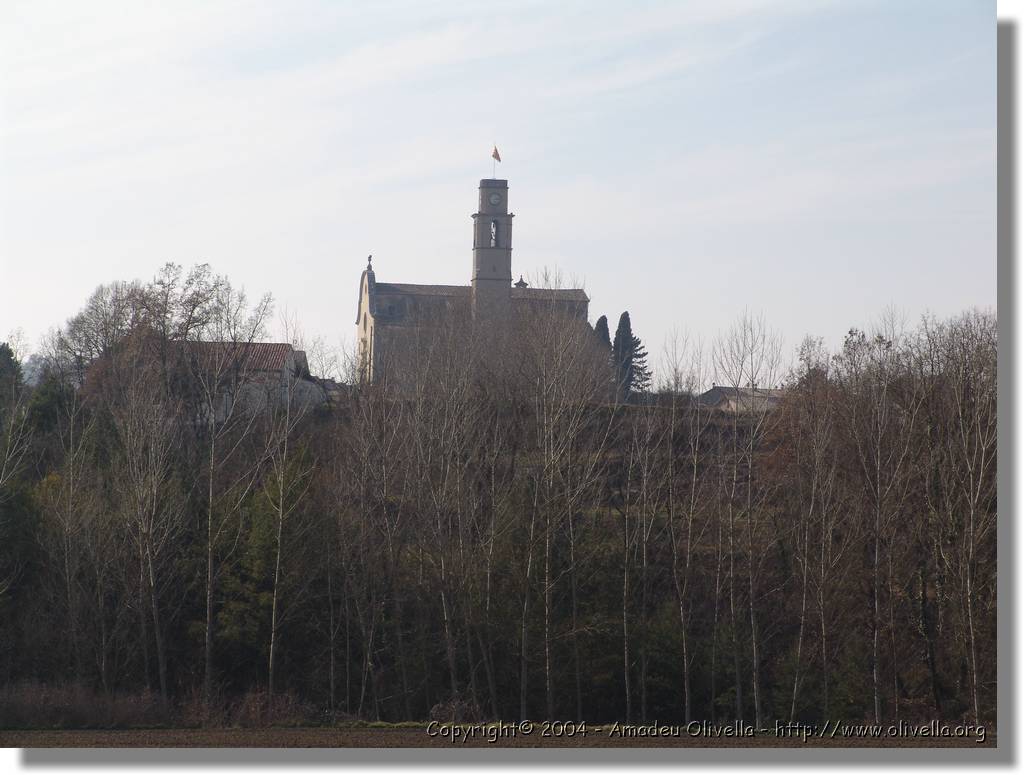 munts_067.jpg