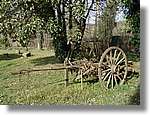 munts_013.jpg(250 KB)
