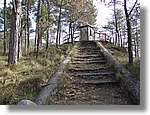 munts_015.jpg(229 KB)