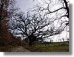 munts_017.jpg(220 KB)