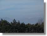 munts_042.jpg(58,9 KB)