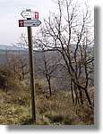munts_045.jpg(195 KB)