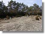 munts_050.jpg(203 KB)