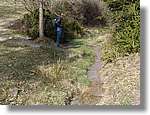 munts_051.jpg(223 KB)