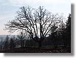 munts_058.jpg(153 KB)