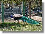 munts_063.jpg(176 KB)