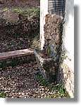 munts_068.jpg(207 KB)