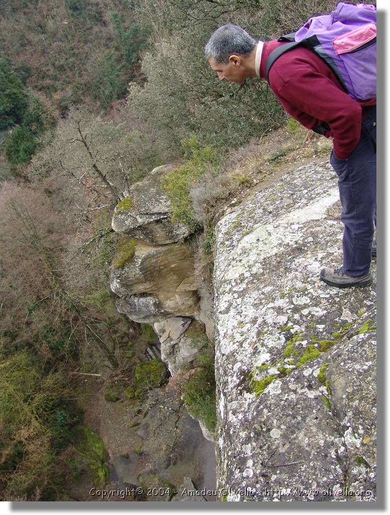 Esquirol_007.jpg