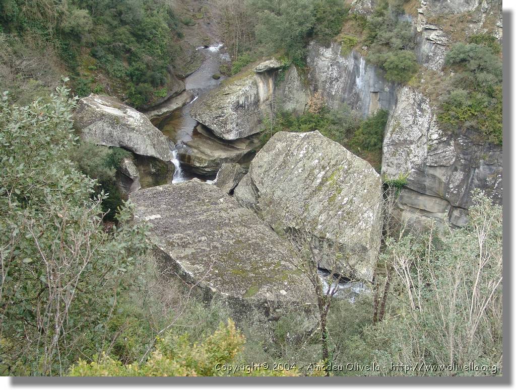 Esquirol_012.jpg