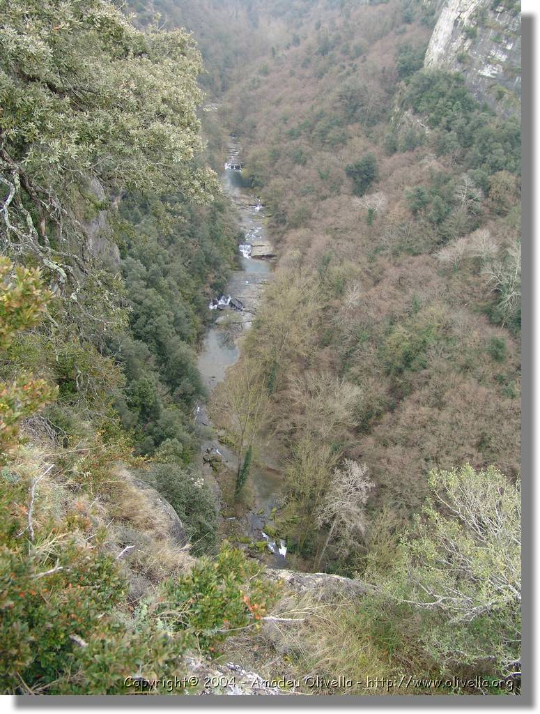 Esquirol_015.jpg