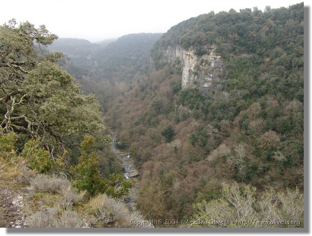 Esquirol_016.jpg