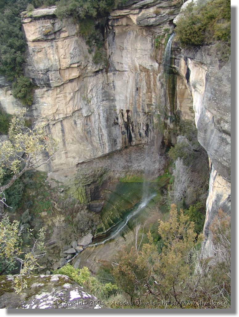 Esquirol_018.jpg