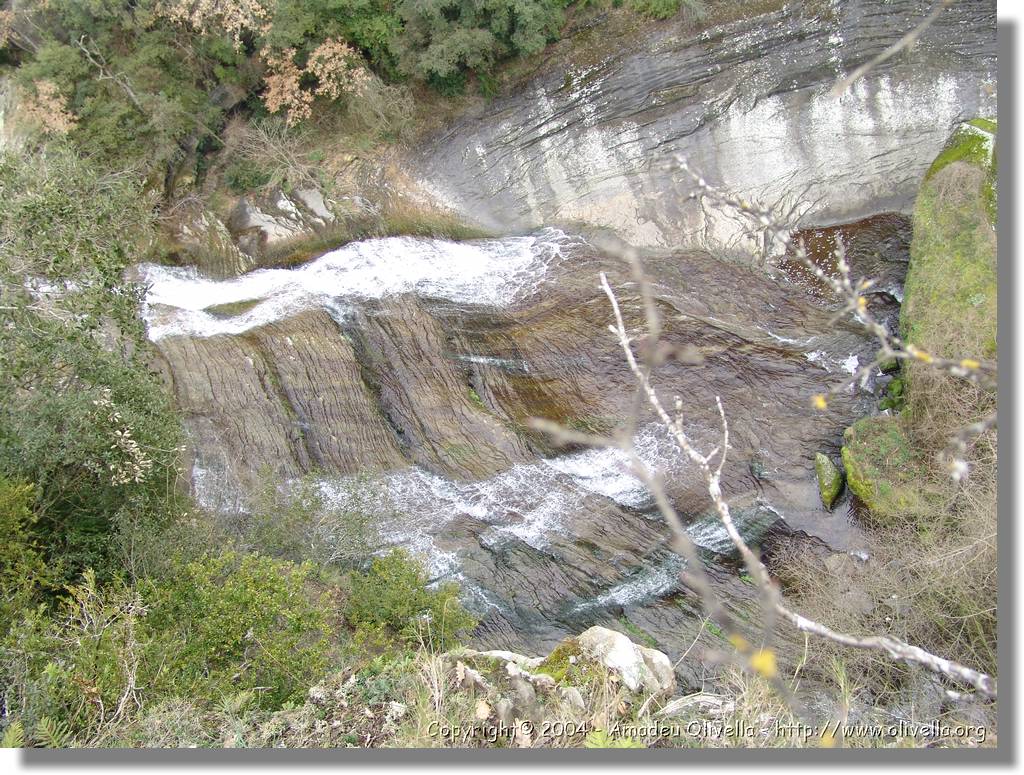 Esquirol_045.jpg