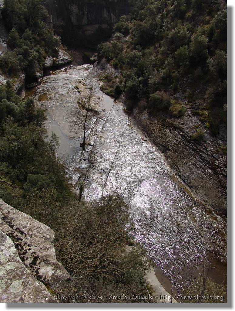 Esquirol_054.jpg