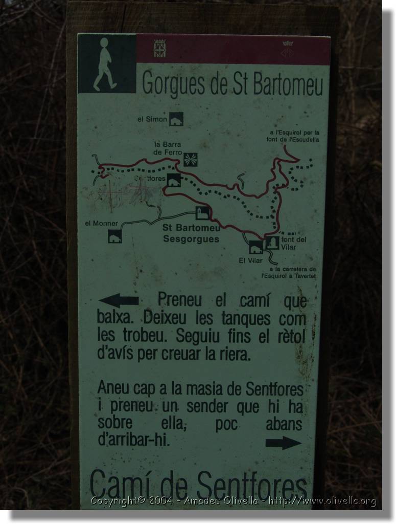 Esquirol_057.jpg