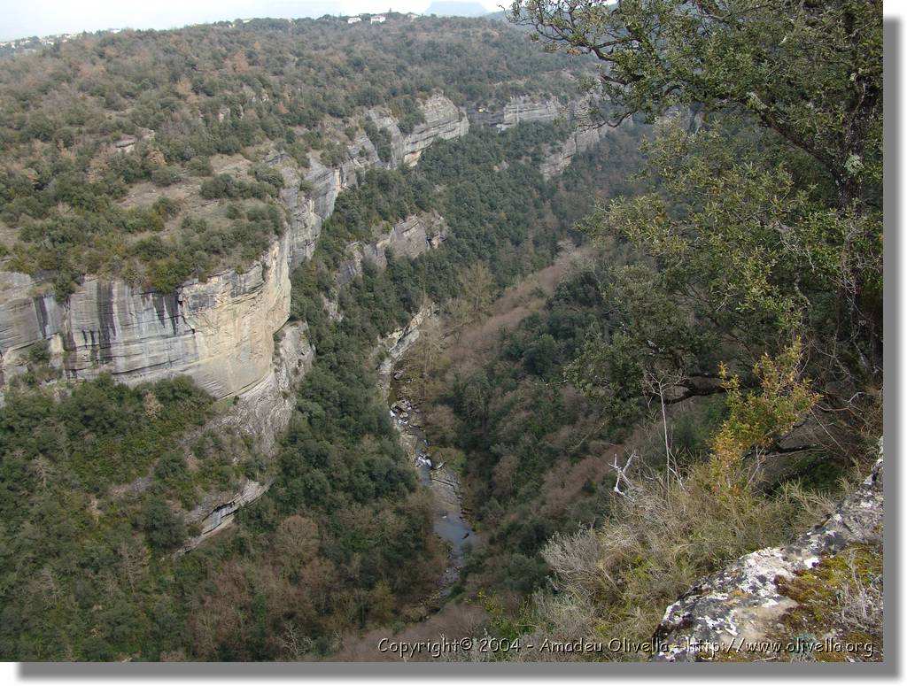 Esquirol_061.jpg