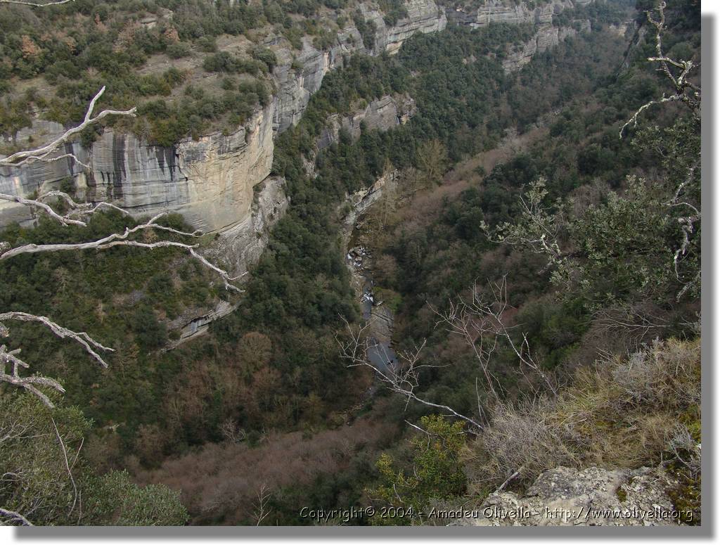 Esquirol_062.jpg