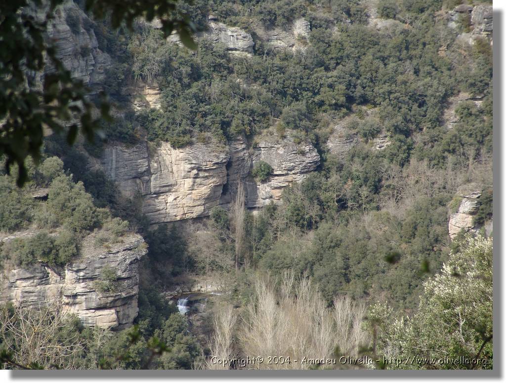 Esquirol_073.jpg