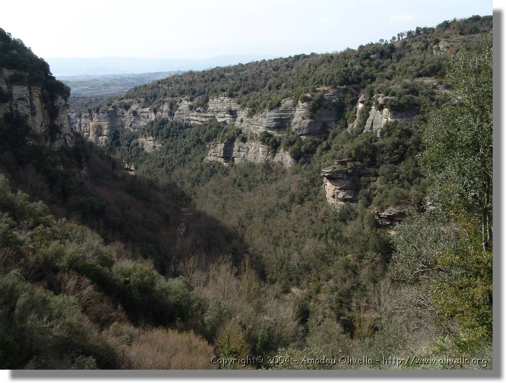 Esquirol_078.jpg