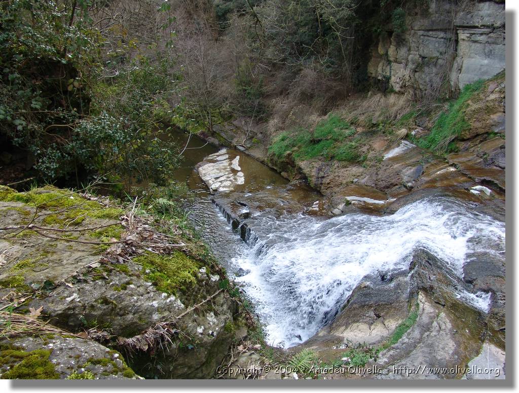 Esquirol_094.jpg