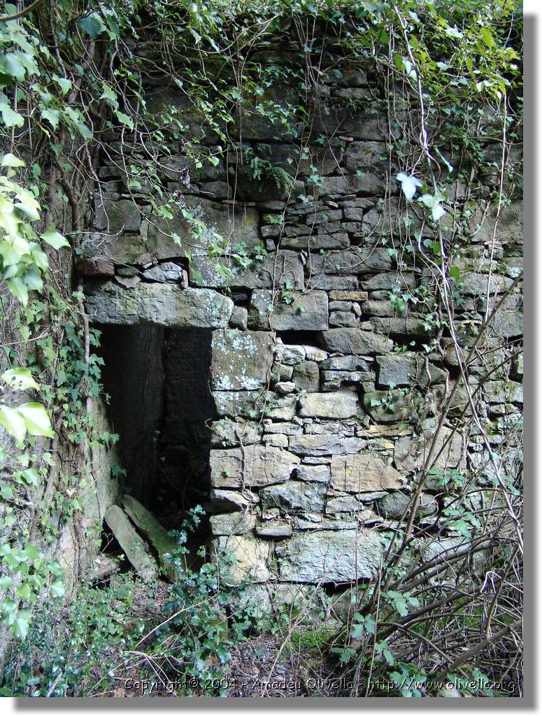 Esquirol_097.jpg