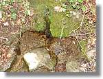 Esquirol_011.jpg(162 KB)