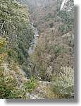 Esquirol_015.jpg(181 KB)