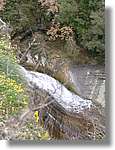 Esquirol_044.jpg(179 KB)