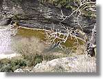 Esquirol_055.jpg(218 KB)