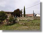 Esquirol_066.jpg(123 KB)