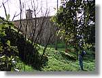 Esquirol_072.jpg(203 KB)