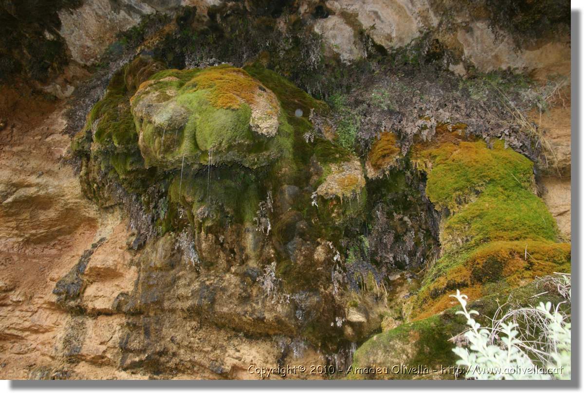 Estiula_098.jpg