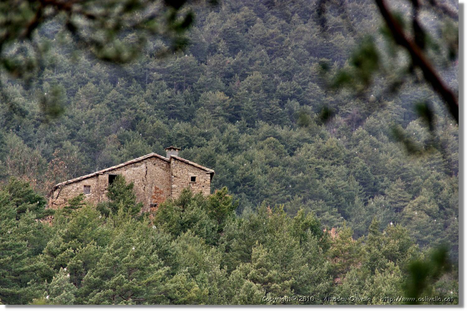 Estiula_106.jpg