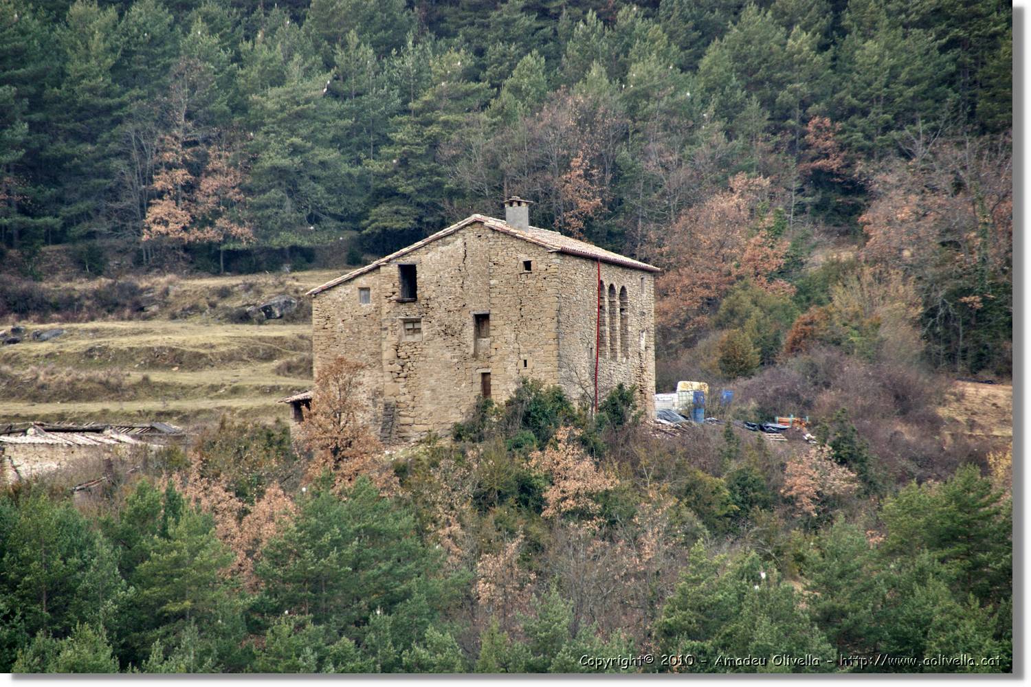 Estiula_110.jpg