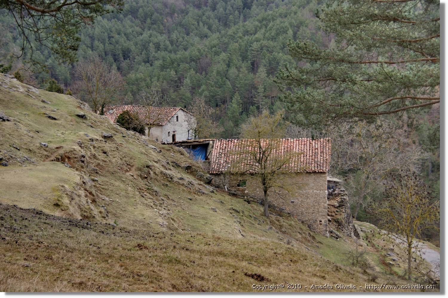 Estiula_120.jpg