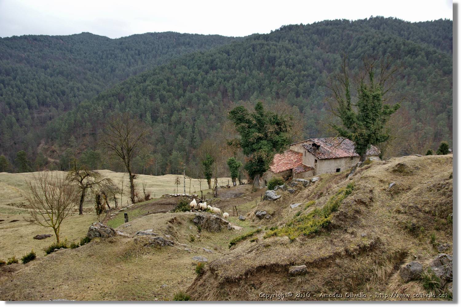 Estiula_122.jpg