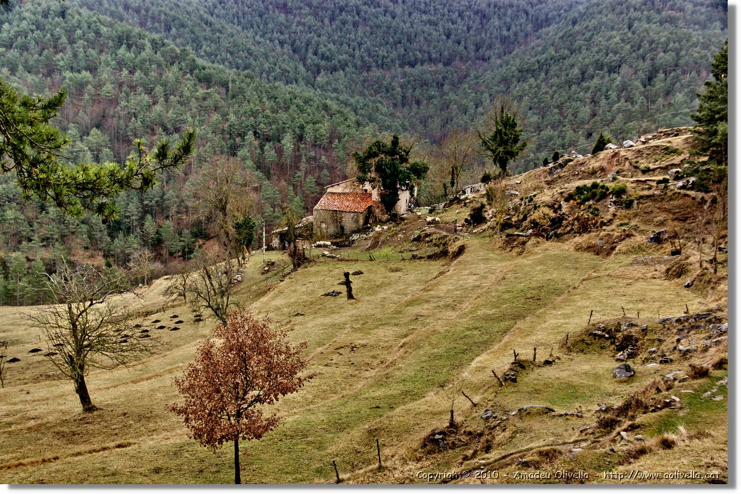 Estiula_127.jpg