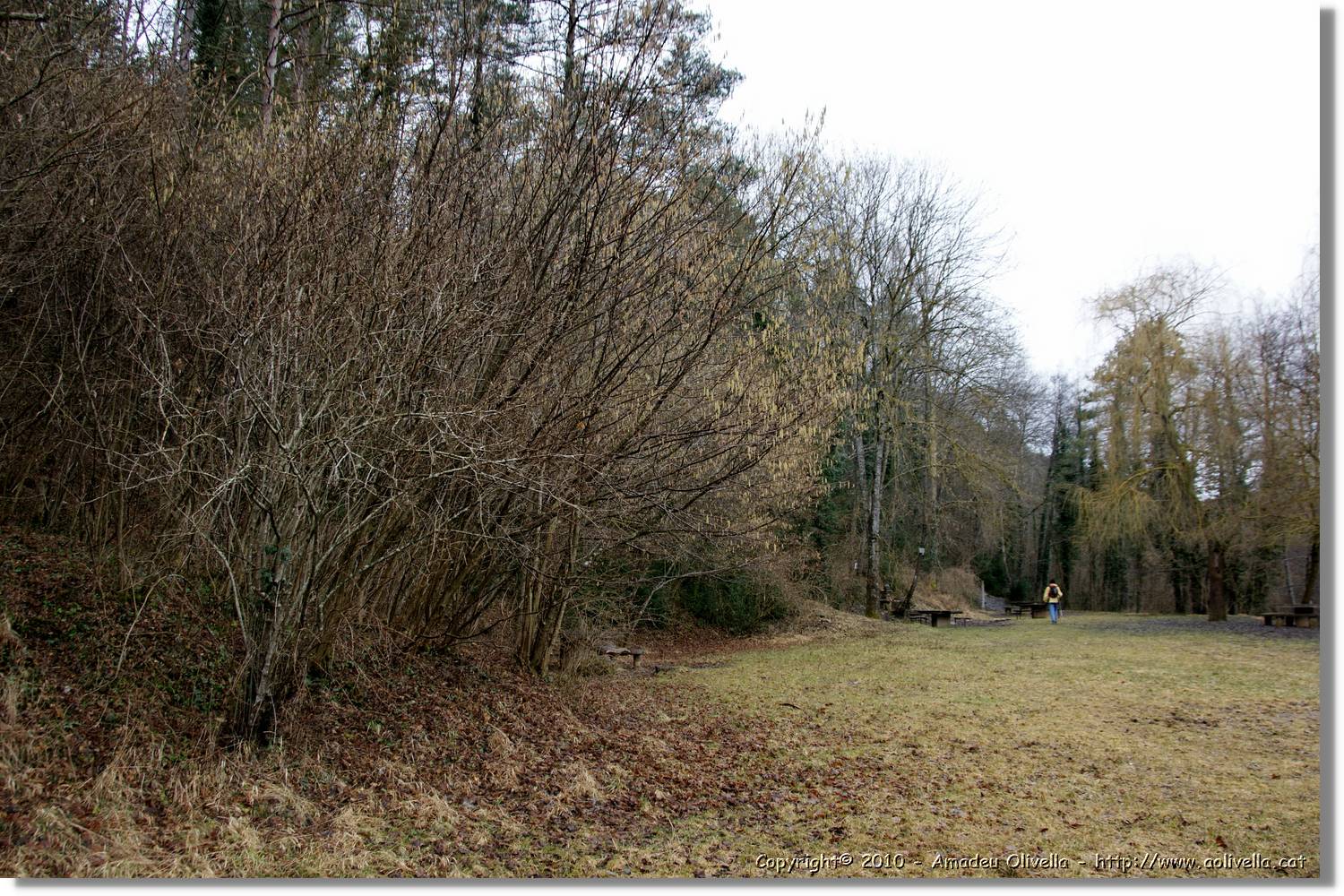 Estiula_135.jpg