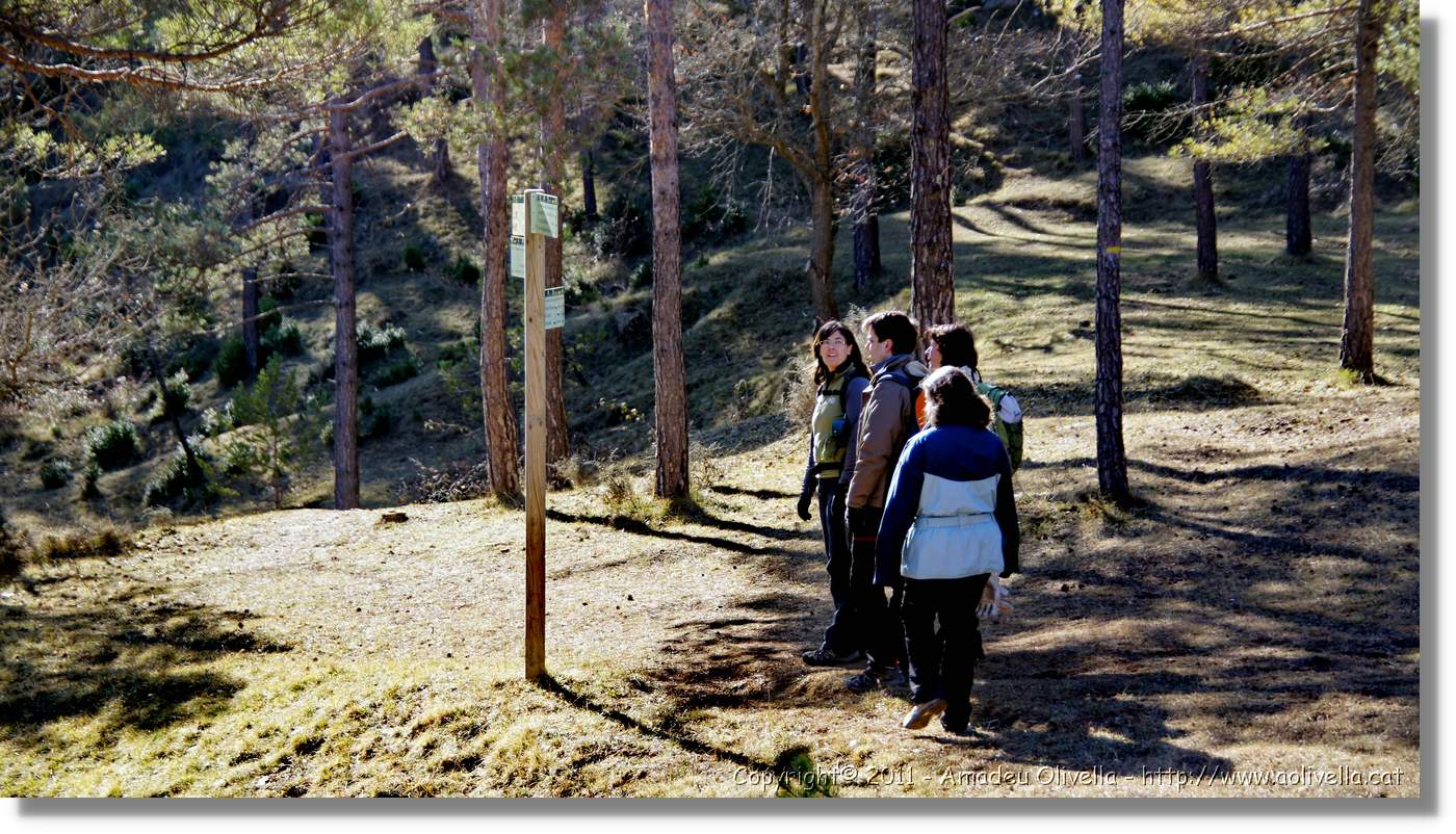 Estiula_126.jpg