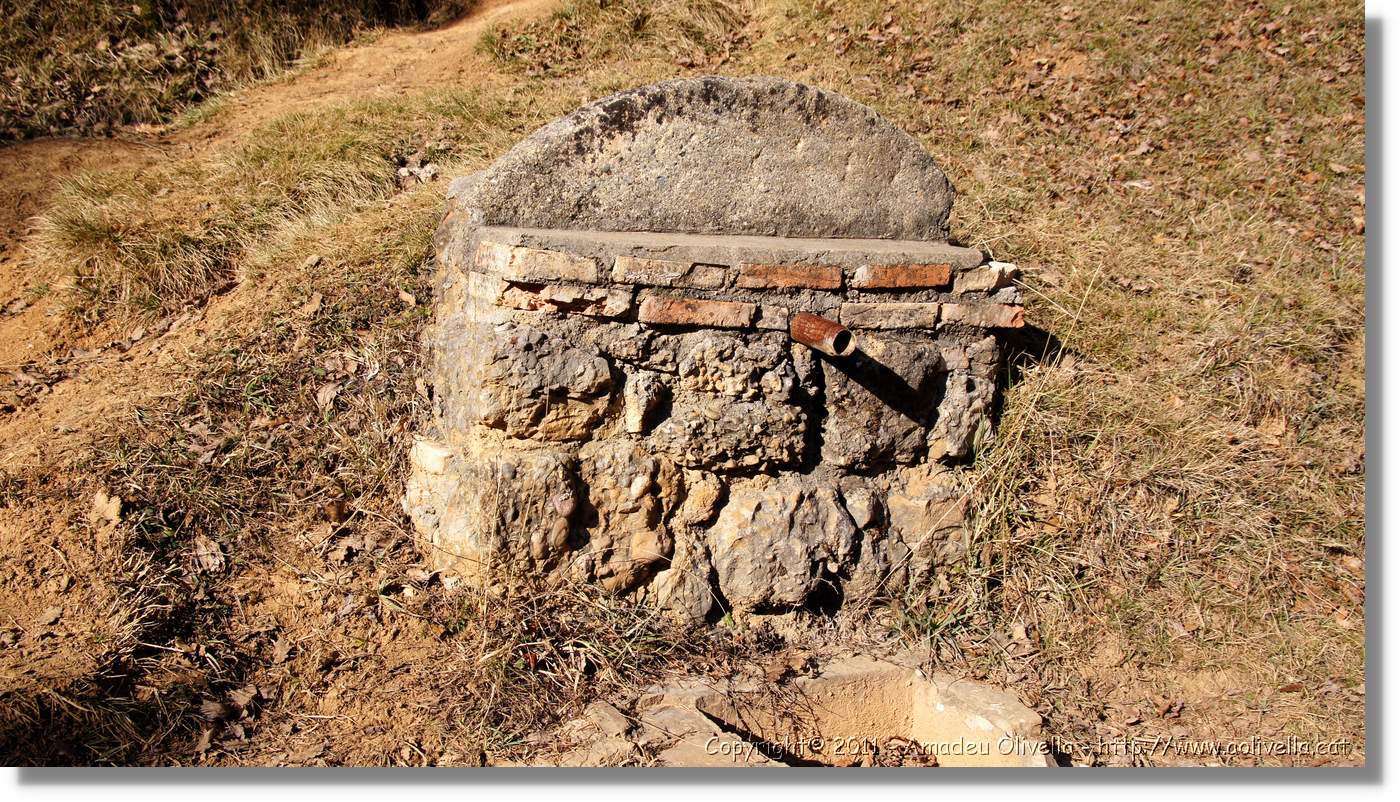 Estiula_128.jpg