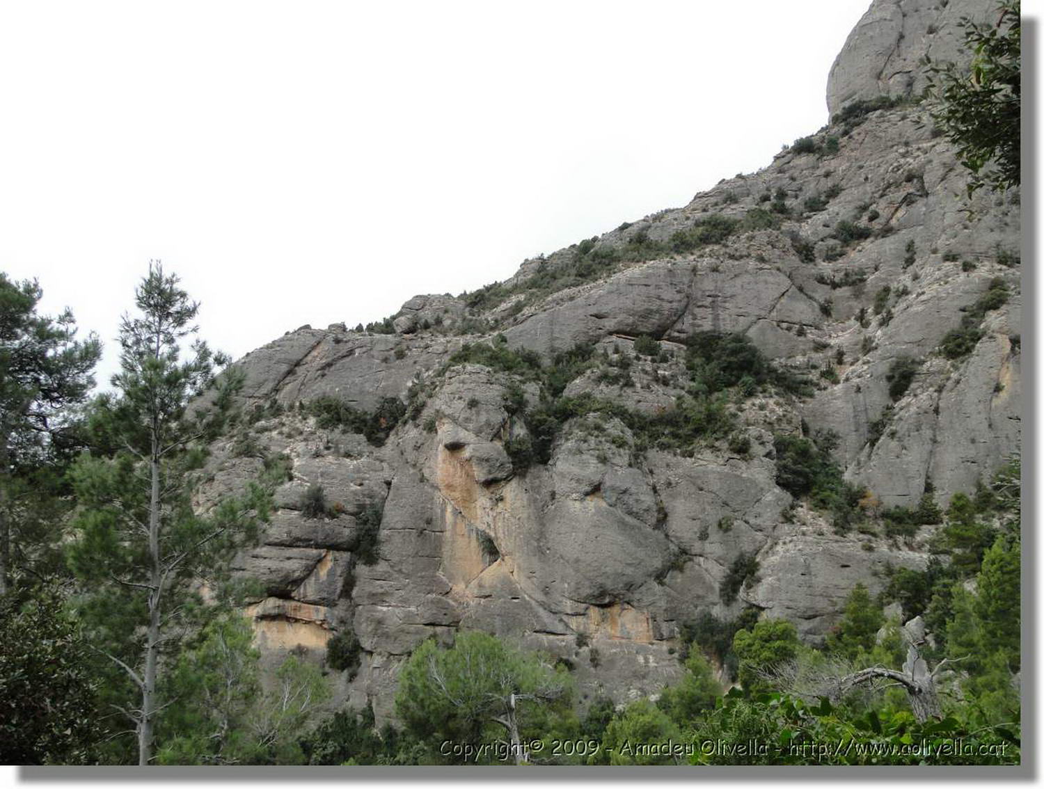 Montserrat_155.jpg