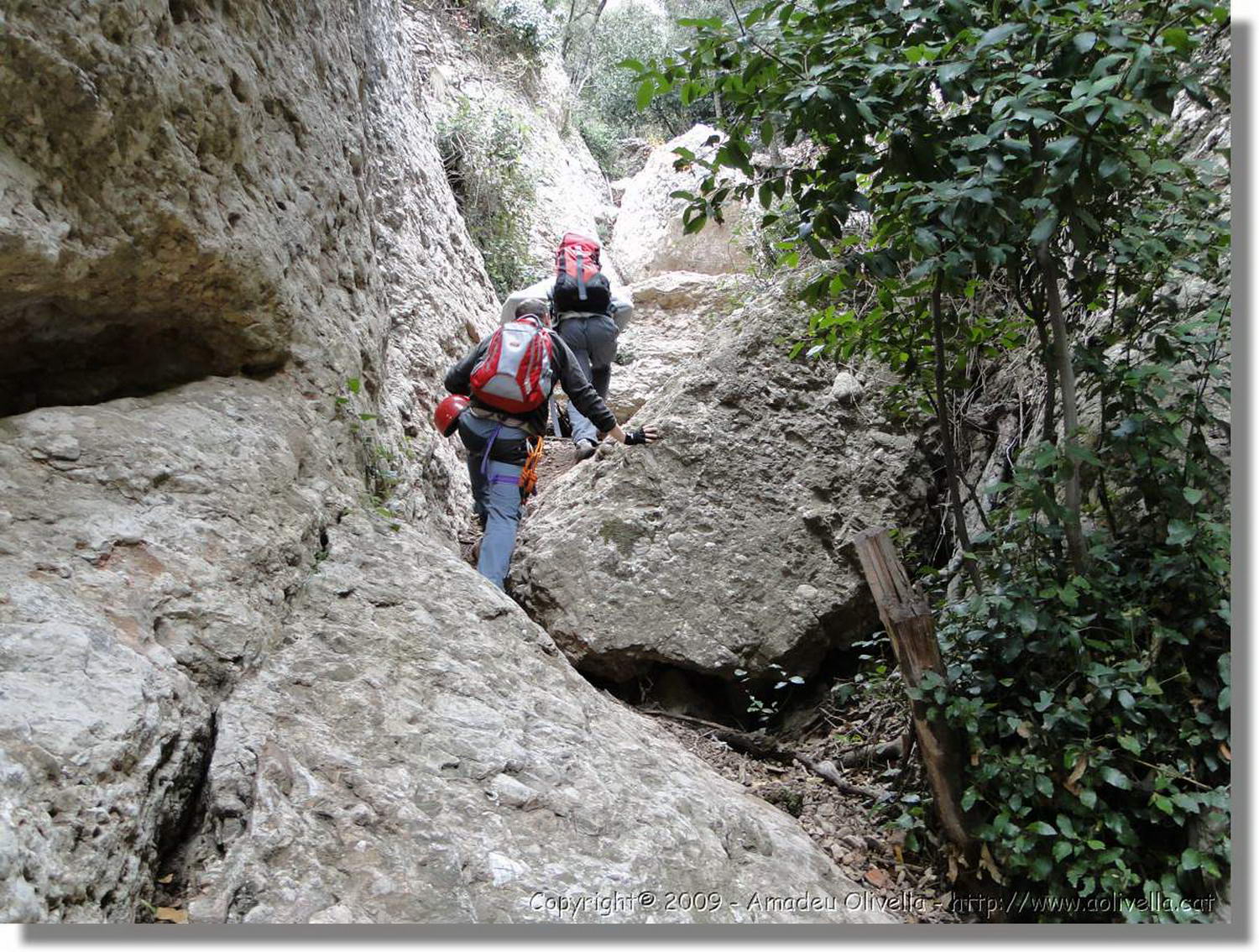 Montserrat_236.jpg