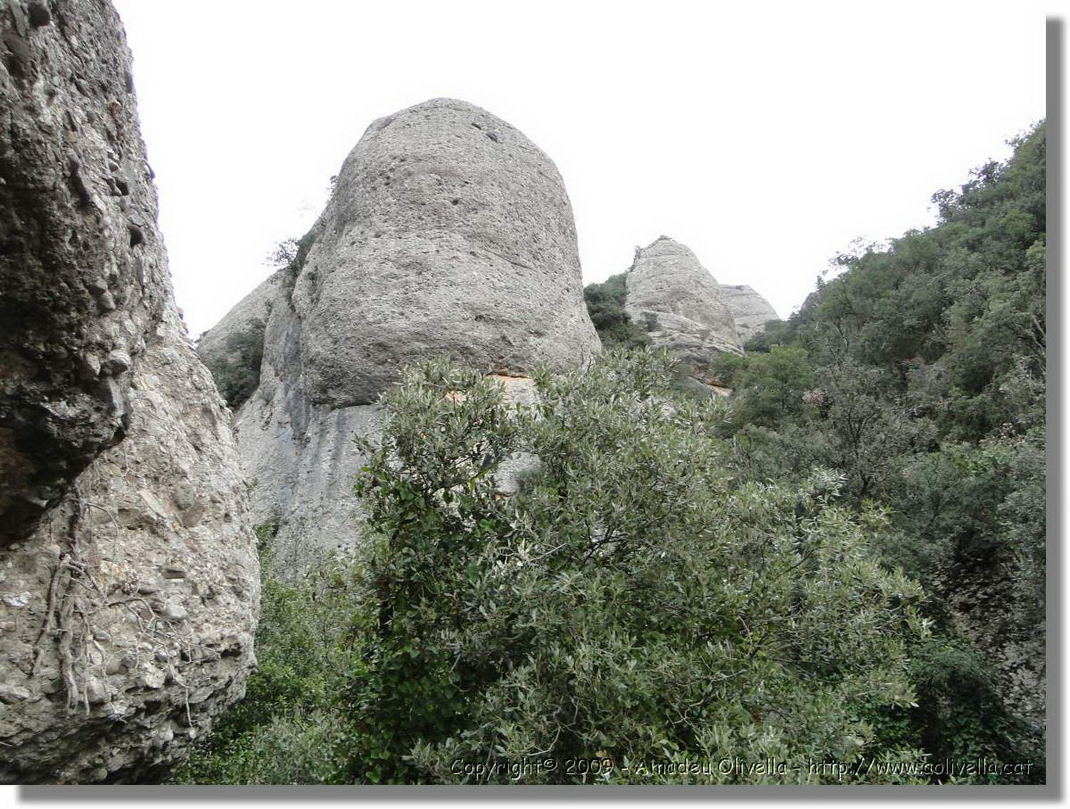 Montserrat_248.jpg