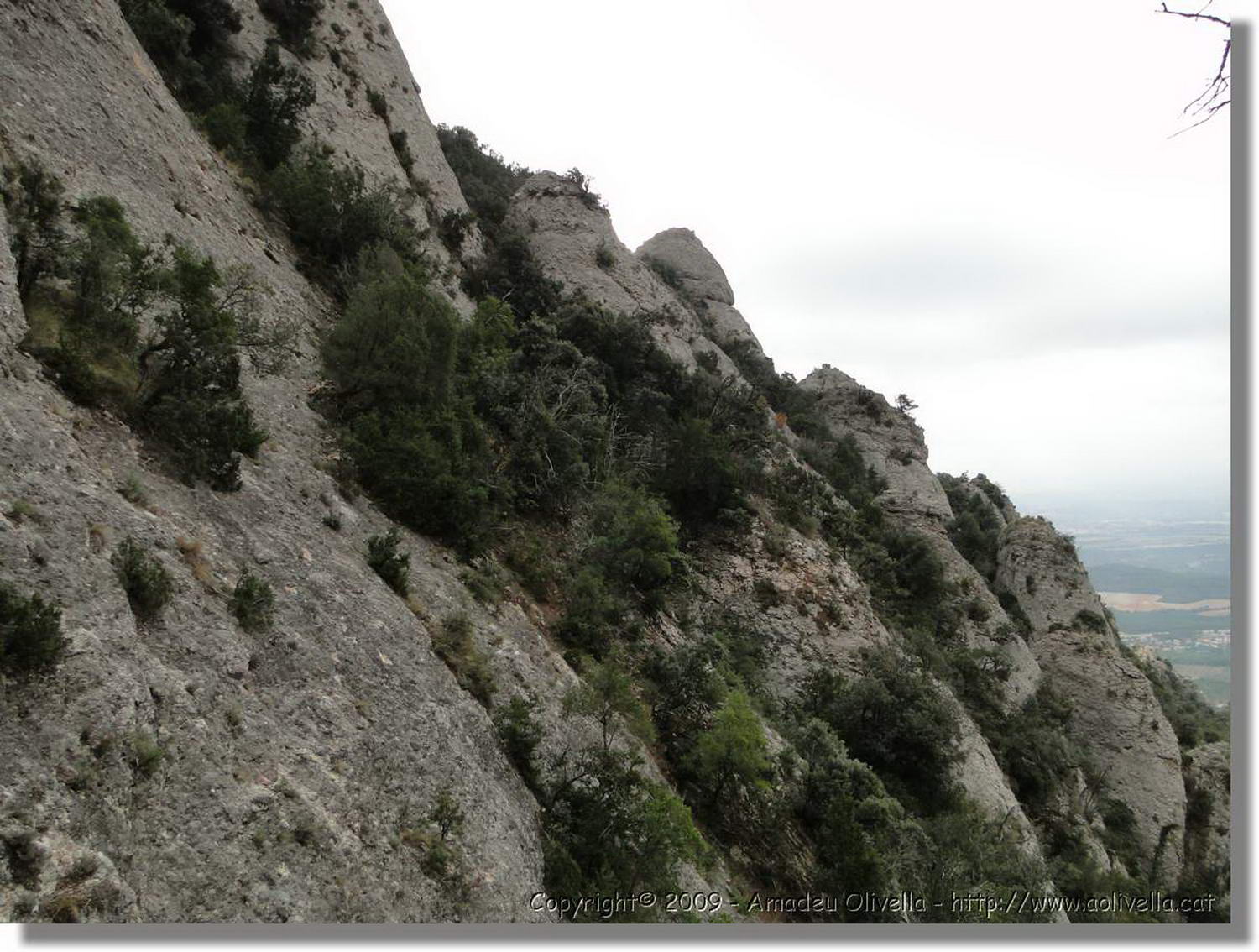 Montserrat_249.jpg