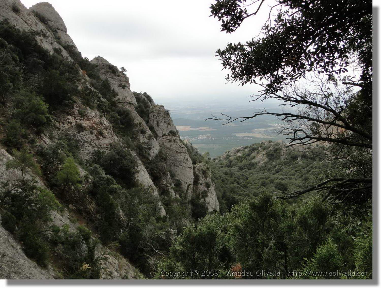 Montserrat_250.jpg