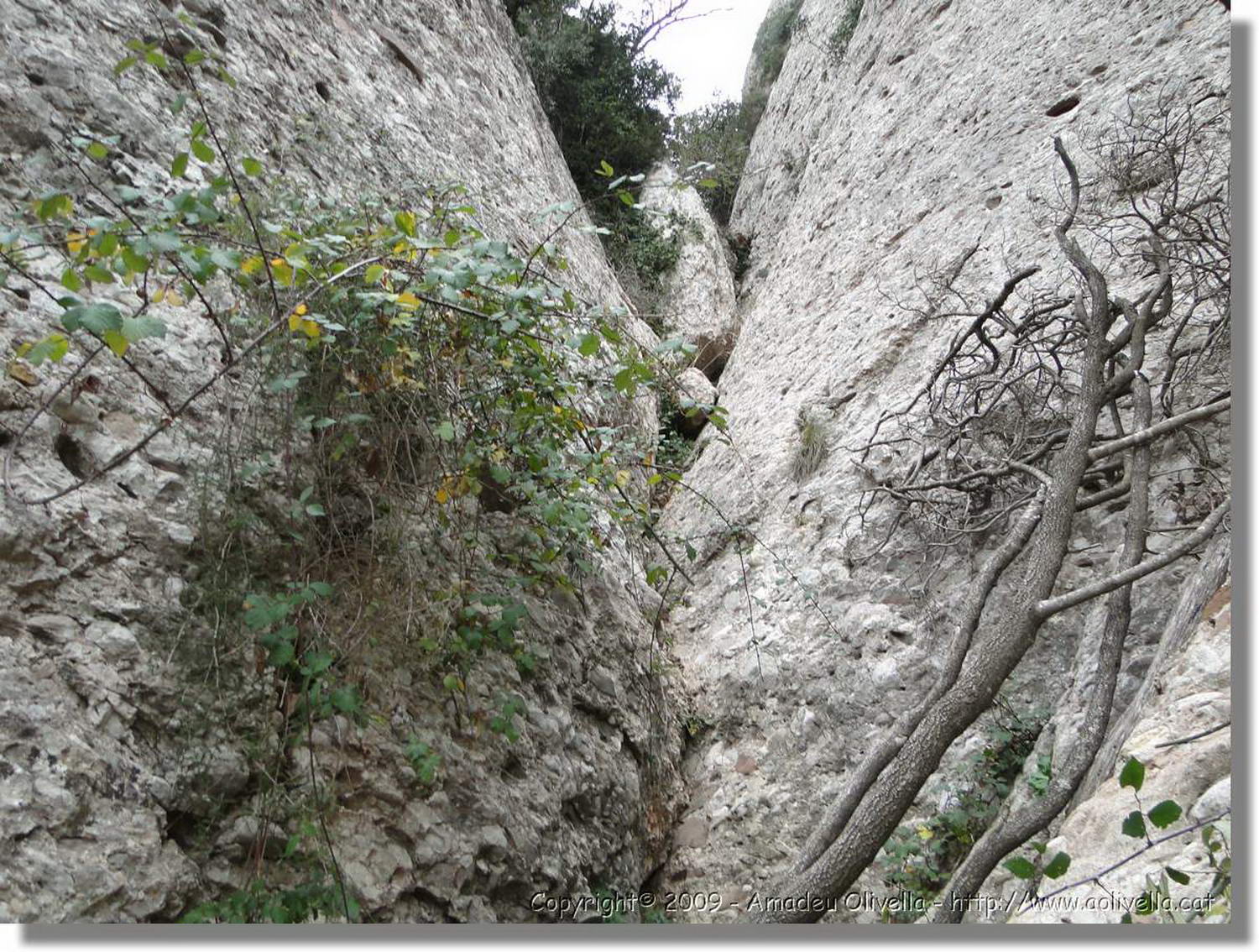 Montserrat_253.jpg