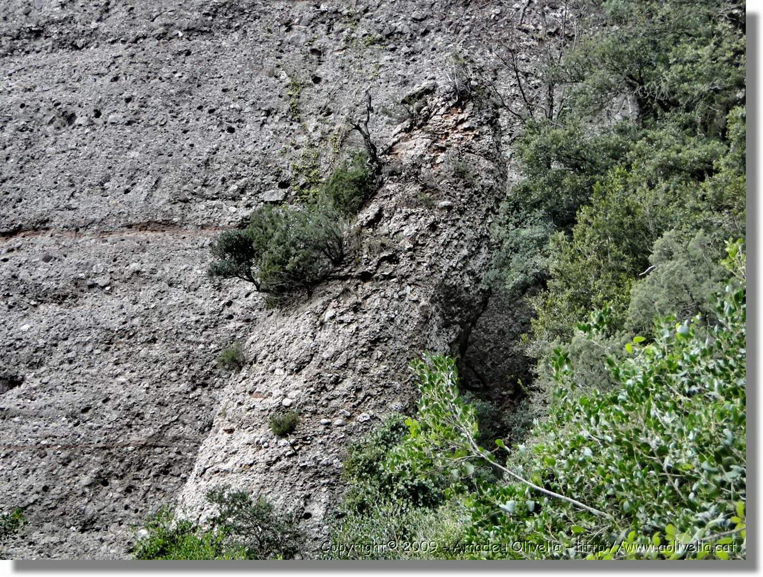 Montserrat_275.jpg
