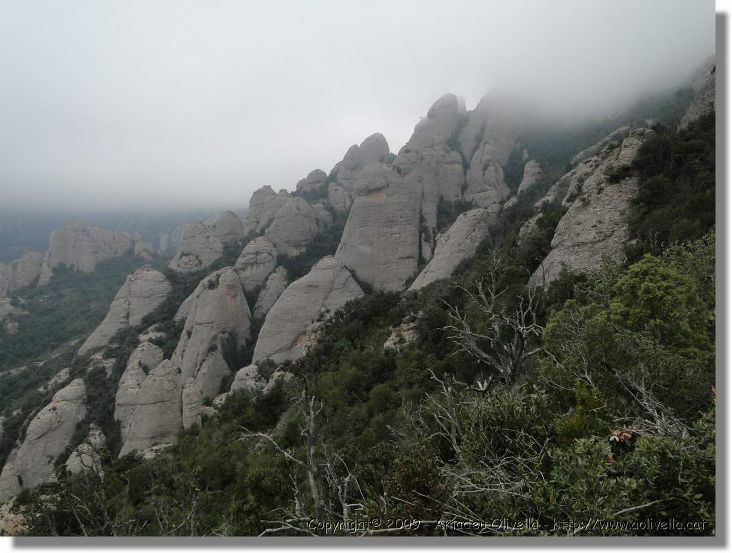 Montserrat_341.jpg